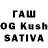 Галлюциногенные грибы GOLDEN TEACHER loxerg 1