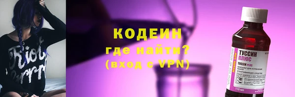 шишки Новодвинск